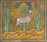 parandrus, a medieval beast